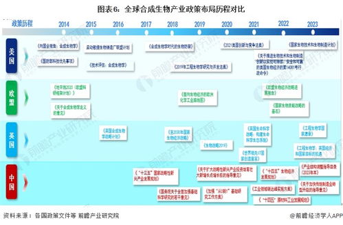 2024年中國合成生物產(chǎn)業(yè)全景圖譜 規(guī)模躍升、區(qū)域集聚與技術(shù)突破